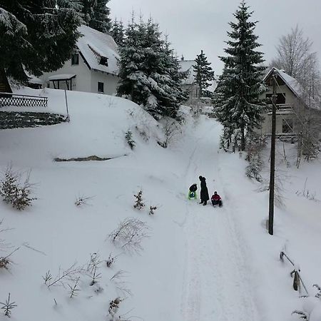 Vila Leni Kopaonik Exterior photo